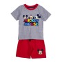 Set di Indumenti Mickey Mouse Grigio di Mickey Mouse, Completi due pezzi con pantaloncino - Rif: S0731424, Prezzo: 15,55 €, S...