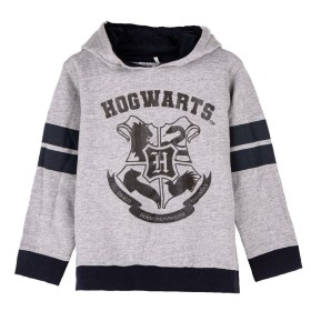 Children’s Hoodie Harry Potter Grey by Harry Potter, Boys - Ref: S0734572, Price: 18,08 €, Discount: %