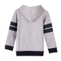 Jungen Sweater mit Kapuze Harry Potter Grau von Harry Potter, Junge - Ref: S0734572, Preis: 18,08 €, Rabatt: %