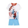 Pijama Infantil The Avengers Gris Azul Blanco de The Avengers, Pijamas dos piezas - Ref: S0736482, Precio: 16,58 €, Descuento: %