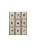 Quadro Home ESPRIT Mediterraneo Conchiglia 30 x 2,5 x 40 cm (9 Unità) da Home ESPRIT, Stampe e quadri su tela - Ref: S3055711...