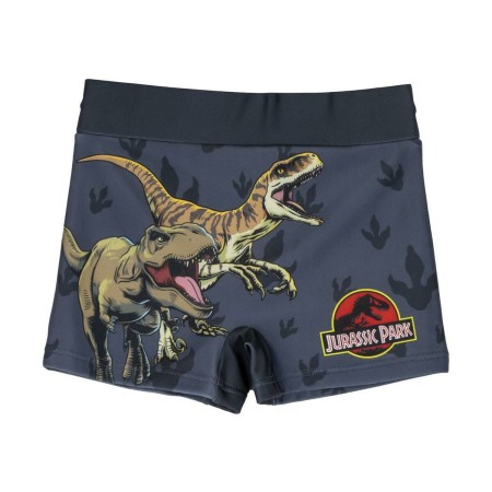 Costume da Bagno Boxer per Bambini Jurassic Park Grigio scuro | Tienda24 - Global Online Shop Tienda24.eu