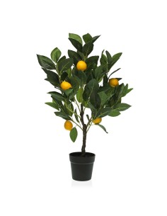 Plante décorative Versa Métal Plastique Ciment 41 x 122 x 43 cm | Tienda24 Tienda24.eu