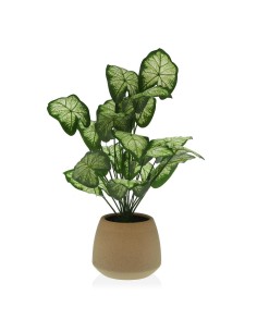 Pianta Decorativa Versa 15 x 52 x 15 cm Cemento Plastica da Versa, Piante artificiali - Ref: S3410677, Precio: €39.49, Descue...