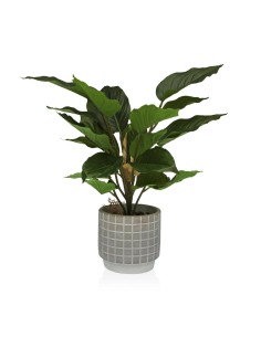 Planta Decorativa EDM 808559 Vaso 25 cm | Tienda24 Tienda24.eu