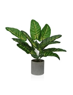 Planta Decorativa Blanco PVC (27 X 35 CM) | Tienda24 Tienda24.eu