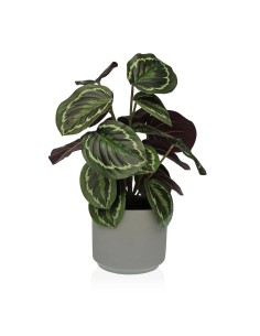 Plante décorative PVC Acier Ciment 183 cm | Tienda24 Tienda24.eu