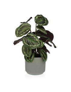 Planta Decorativa Mica Decorations Rosal Cerámica PVC | Tienda24 Tienda24.eu