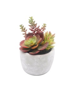 Plante décorative Argenté Cactus Céramique Plastique (8 x 20 x 8 cm) | Tienda24 Tienda24.eu