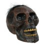 Skull Voo Doo S1123400 19 x 22 cm (1 Piece) by BigBuy Carnival, Halloween - Ref: S1123400, Price: 10,65 €, Discount: %