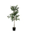 Pianta Decorativa Versa Metallo Plastica Cemento 41 x 122 x 43 cm da Versa, Piante artificiali - Ref: S3411656, Precio: €52.7...