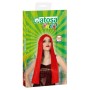 Peluca de Cabello Largo 117762 de BigBuy Carnival, Pelucas y postizos - Ref: S1125083, Precio: 8,07 €, Descuento: %