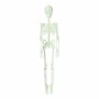 Halloween Decorations Skeleton 150 cm Fluorescent by BigBuy Home, Halloween - Ref: S1132707, Price: 7,08 €, Discount: %