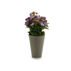 Plant pot 8430852552877 Purple Orange White Yellow