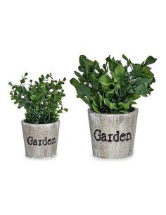 Planta Decorativa Home ESPRIT Flor 22 x 22 x 14 cm (2 Unidades) | Tienda24 Tienda24.eu