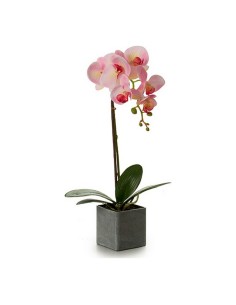 Decorative Plant Versa Plastic | Tienda24 Tienda24.eu