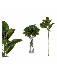 Pianta Decorativa 8430852770394 Verde Plastica da Ibergarden, Piante artificiali - Ref: S3606028, Precio: 2,01 €, Descuento: %