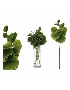 Decorative Plant Versa Plastic | Tienda24 Tienda24.eu