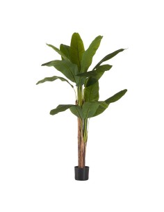 Decorative Plant Aloe Vera 15 x 23,5 x 15 cm Grey Green Plastic (6 Units) | Tienda24 Tienda24.eu