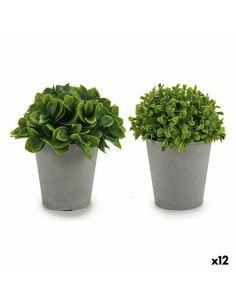 Pianta Decorativa Plastica 13 x 17 x 13 cm (12 Unità) da Ibergarden, Piante artificiali - Ref: S3614916, Precio: 29,39 €, Des...