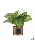 Plante décorative Home Cuivre Cannette (26 x 26 x 26 cm) (6 Unités) | Tienda24 Tienda24.eu