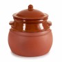 Olla con Tapa Barro cocido 4,5 L 25 x 27 x 25 cm (