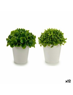 Plante décorative Succulent Plastique 12 x 24 x 12 cm (6 Unités) | Tienda24 Tienda24.eu