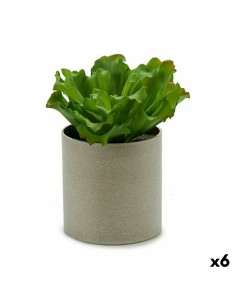 Planta Decorativa Orquídea Plástico 8 x 35 x 14 cm (12 Unidades) | Tienda24 Tienda24.eu