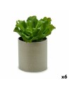 Pianta Decorativa 20 x 25 x 20 cm (6 Unità) da Ibergarden, Piante artificiali - Ref: S3623998, Precio: 41,04 €, Descuento: %