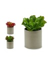 Pianta Decorativa 20 x 25 x 20 cm (6 Unità) da Ibergarden, Piante artificiali - Ref: S3623998, Precio: 41,04 €, Descuento: %