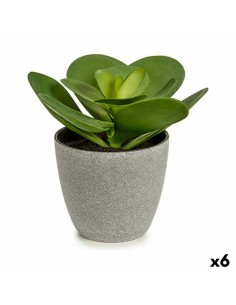 Planta Decorativa Home ESPRIT Plástico | Tienda24 Tienda24.eu