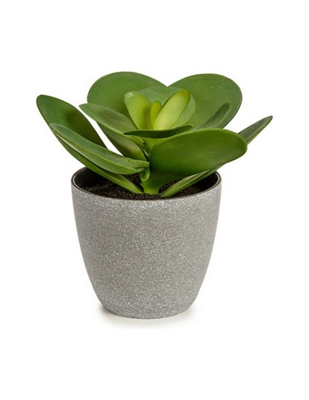 Planta Decorativa 18 x 18,5 x 18 cm Gris Verde Plástico (6 Unidades) | Tienda24 Tienda24.eu