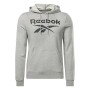 Men’s Hoodie Reebok FT BIG LOGO OTH HZ8786 Grey by Reebok, Men - Ref: S2025548, Price: 0,00 €, Discount: %