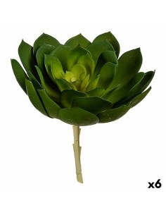 Decorative Plant Aloe Vera 15 x 23,5 x 15 cm Grey Green Plastic (6 Units) | Tienda24 Tienda24.eu