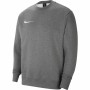 Sudadera Infantil PARK 20 FLEECE CREW Nike CW6904 071 Gris de Nike, Niño - Ref: S2028805, Precio: 38,70 €, Descuento: %