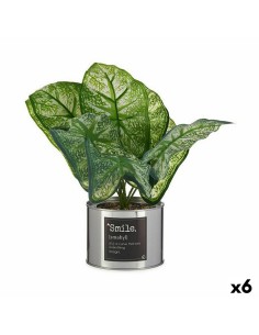 Planta Decorativa DKD Home Decor PVC Polipropileno 20 x 20 x 30 cm | Tienda24 Tienda24.eu