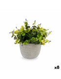 Decorative Plant Flowers Plastic 21 x 20,6 x 21 cm (8 Units) | Tienda24 Tienda24.eu