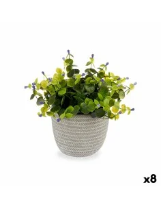 Decorative Plant Boj Ball Plastic 30 x 30 x 30 cm | Tienda24 Tienda24.eu