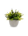 Decorative Plant Flowers Plastic 21 x 20,6 x 21 cm (8 Units) | Tienda24 Tienda24.eu