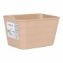 Organizador Confortime Jano 13,5 x 9 x 7,5 cm Flexível (36 Unidades) (13,5 x 9 x 7,5 cm) | Tienda24 - Global Online Shop Tienda24.eu