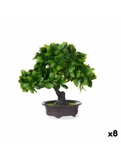 Plante décorative Succulent Plastique 12 x 24 x 12 cm (6 Unités) | Tienda24 Tienda24.eu