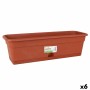 Floreira com Prato Dem Greentime Retangular Castanho 60 x 20 x 17,3 cm (6 Unidades) de Dem, Vasos de janela - Ref: S2228092, ...