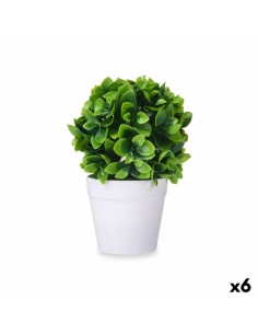 Plante décorative Plastique 11 x 18 x 11 cm Vert Gris (12 Unités) | Tienda24 Tienda24.eu