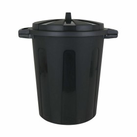 Parfümierte Stäbe Deban Abbildung Wasserlilie 500 ml (6 Stück) | Tienda24 Tienda24.eu