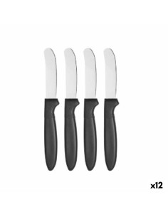 Meat Knife Set Amefa Hotel Metal 29 cm 2 Pieces (6 Units) | Tienda24 Tienda24.eu