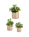 Blumentopfset 3 Stücke Ø 14 cm Ø 22 cm Ø 17 cm Zylinder Beige | Tienda24 Tienda24.eu