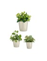 Set de pots Ø 14 cm Ø 22 cm Ø 17 cm Cónica 3 Pièces Gris | Tienda24 Tienda24.eu