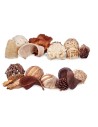 Potpourri decorativo Bianco Marrone 19 x 40 x 14 cm (8 Unità) da Gift Decor, Soprammobili - Ref: S3631316, Precio: 46,92 €, D...