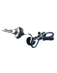 Ampoule pour voiture Philips 12342RGTS2 60 W 3600 K Ampoule Halogène 12 V (2 Unités) | Tienda24 Tienda24.eu