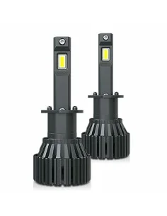 Car Bulb OS7507-02B Osram OS7507-02B PY21W 21W 12V (2 Pieces) | Tienda24 Tienda24.eu